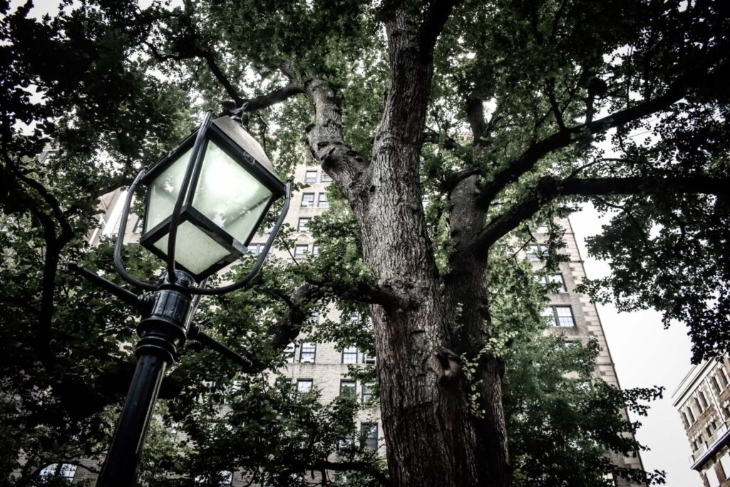 The Ultimate Greenwich Village Tour, Boroughs of the Dead, NYC Ghost Tours